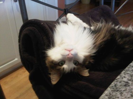 IMG00055-20110429-1720